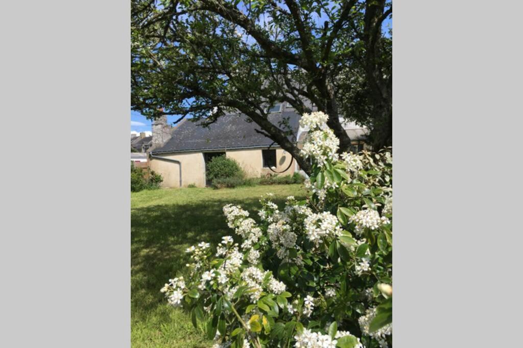 Keraudren Rhuys - Longere Xviiie - 10 Pers - 4 Chb - Plage A Pied Saint-Gildas-de-Rhuys Exterior foto